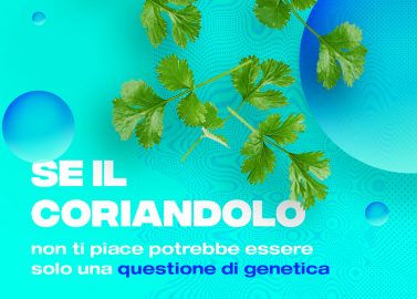 coriandolo-amore-odio-e-genetica