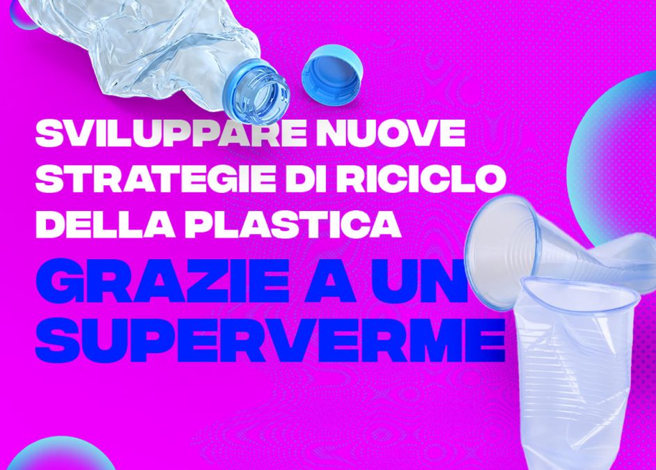 vermi-mangia-plastica